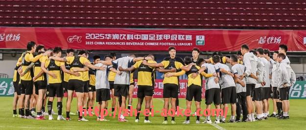 澳客足彩-世俱杯比赛传球方向分布的详细数据统计与战术解读